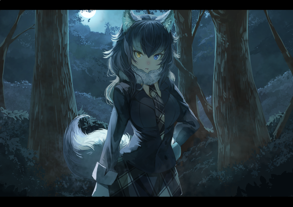 Anime-Bild 1228x868 mit kemono friends grey wolf (kemono friends) koruse single long hair looking at viewer fringe blue eyes black hair hair between eyes animal ears yellow eyes outdoors white hair tail parted lips animal tail multicolored hair night two-tone hair