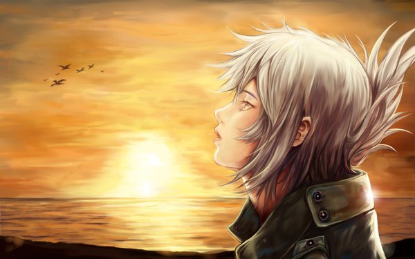 Anime picture 1680x1050 with league of legends riven (league of legends) lancer0519 single short hair profile grey hair grey eyes evening sunset girl animal sea bird (birds)