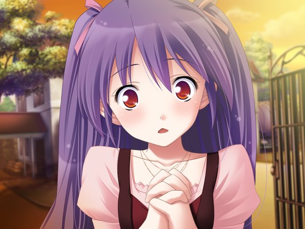 Anime picture 1024x768 with hiyoko strike! (game) maiyora ririno yasuyuki long hair looking at viewer open mouth red eyes game cg purple hair face girl