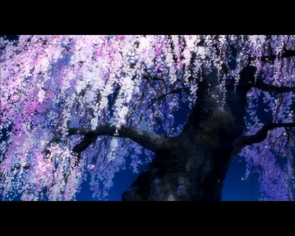 Anime picture 1280x1024 with nurarihyon no mago sky night night sky cherry blossoms scenic screenshot flower (flowers) plant (plants) tree (trees)