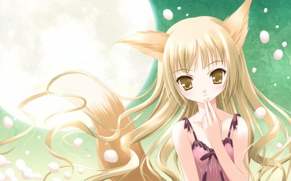 Anime picture 1920x1200 with tinker bell highres blonde hair wide image animal ears yellow eyes fox girl girl