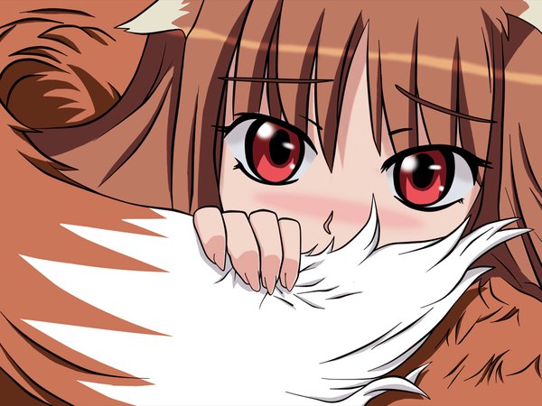 Anime picture 1024x768 with spice and wolf horo blush red eyes brown hair animal ears tail vector wolf ears