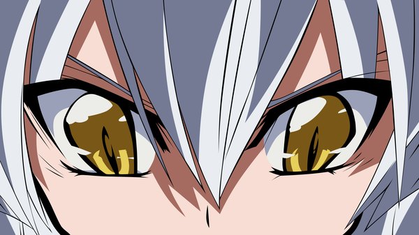 Anime picture 2560x1440 with needless madhouse disc (needless) single highres wide image yellow eyes white hair close-up vector girl