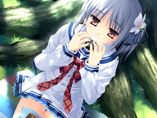 Anime picture 1024x768 with sakura bitmap (game) muroto kanae light erotic brown eyes game cg white hair pantyshot sitting girl serafuku