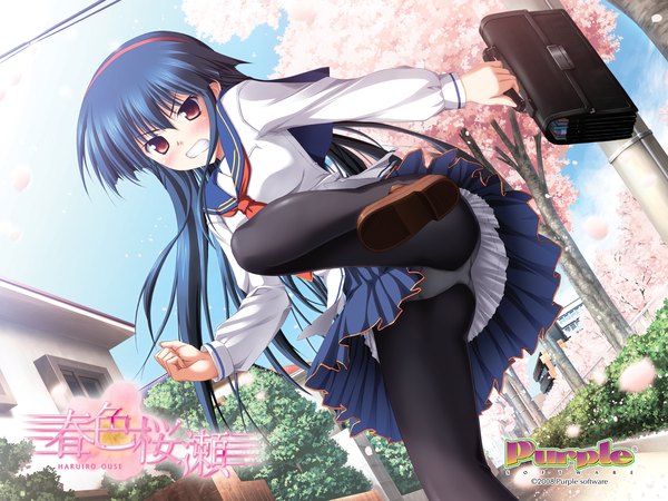 Anime picture 1600x1200 with haruiro ouse aizawa nadeshiko tsukimori hiro single long hair blush fringe light erotic standing blue hair outdoors long sleeves pleated skirt dutch angle pantyshot cherry blossoms standing on one leg angry spring girl