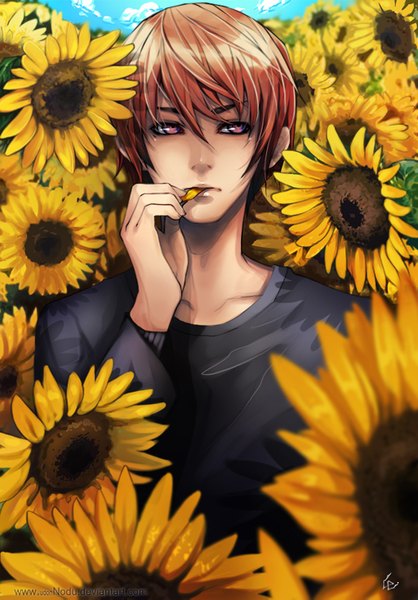 Anime picture 1024x1469 with death note madhouse yagami light unodu single tall image short hair pink hair boy flower (flowers) petals t-shirt sunflower