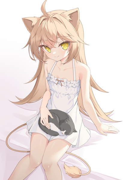 Anime picture 1447x2118 with virtual youtuber indie virtual youtuber rurudo lion quarterlift single long hair tall image looking at viewer fringe simple background blonde hair smile white background bare shoulders animal ears yellow eyes tail animal tail from above flat chest