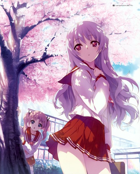Anime picture 2815x3505 with to heart 2 to heart leaf (studio) maaryan himekawa kotone kawata hisashi long hair tall image blush highres open mouth blue eyes red eyes twintails multiple girls pink hair cherry blossoms girl skirt 2 girls