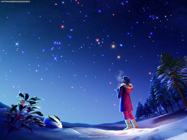 Anime picture 1024x768 with kagaya single sky realistic night sparkle night sky winter snow landscape 3d girl plant (plants) tree (trees) star (stars) bunny winter clothes
