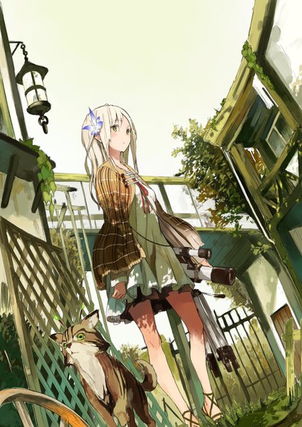 Anime picture 1000x1414 with original emuke (masatusaboten) long hair tall image green eyes white hair hair flower shadow from below walking girl dress hair ornament plant (plants) animal window white dress leaf (leaves) cape cat