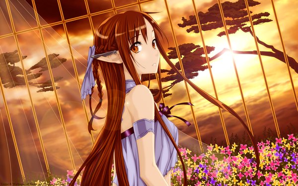 Anime picture 2560x1600 with sword art online a-1 pictures yuuki asuna titania (alo) cilou (artist) single long hair looking at viewer highres brown hair wide image twintails bare shoulders brown eyes braid (braids) looking back pointy ears girl flower (flowers) plant (plants)