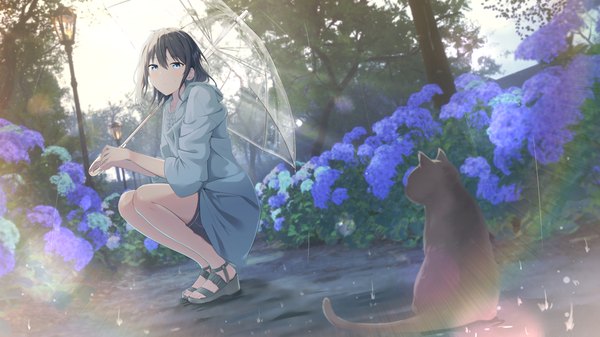 Anime picture 4374x2454 with original cac itinose single looking at viewer fringe highres short hair blue eyes black hair hair between eyes wide image absurdres full body outdoors bare legs sweatdrop rain squat transparent umbrella girl