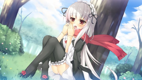 Anime picture 1280x720 with rozen maiden suigintou asa (swallowtail) single long hair blush open mouth light erotic red eyes wide image white hair pantyshot sitting girl thighhighs dress black thighhighs plant (plants) tree (trees) headdress scarf