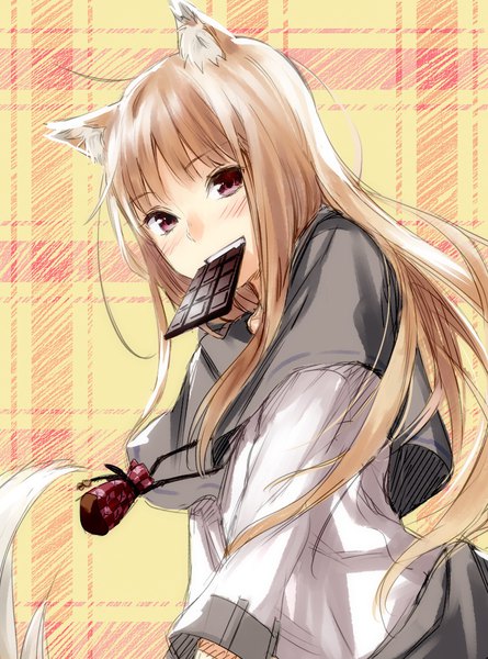 Anime picture 839x1130 with spice and wolf horo kawakami rokkaku single long hair tall image looking at viewer blush fringe smile red eyes brown hair holding animal ears upper body tail animal tail leaning mouth hold happy