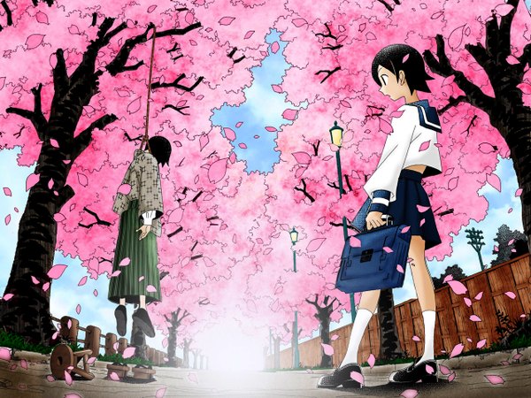 Anime picture 1280x960 with sayonara zetsubou sensei shaft (studio) itoshiki nozomu cherry blossoms street