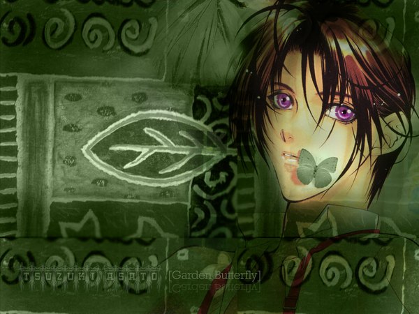 Anime picture 1024x768 with yami no matsuei j.c. staff asato tsuzuki single looking at viewer short hair brown hair purple eyes wallpaper portrait face green background boy insect butterfly