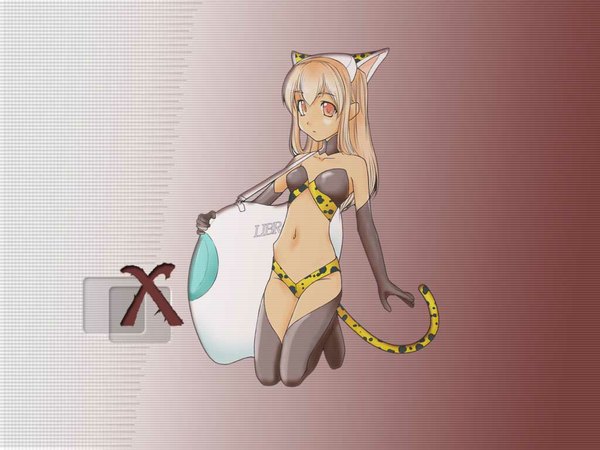 Anime picture 1024x768 with macintosh os-tan osx light erotic full body jaguar