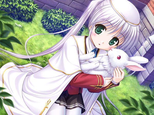 Anime picture 1200x900 with fortune arterial august soft tougi shiro single looking at viewer blush fringe blonde hair twintails holding green eyes game cg outdoors white hair very long hair from above :o loli girl plant (plants)