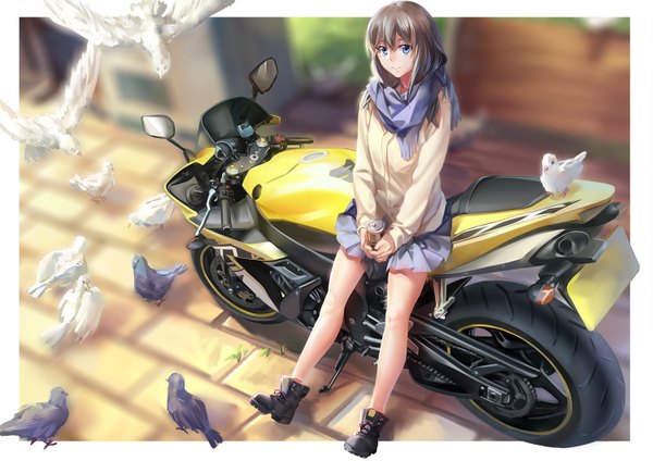 Anime picture 1500x1061 with original rff (3 percent) single long hair looking at viewer blue eyes brown hair girl skirt miniskirt animal boots scarf bird (birds) sweater motorcycle pigeon