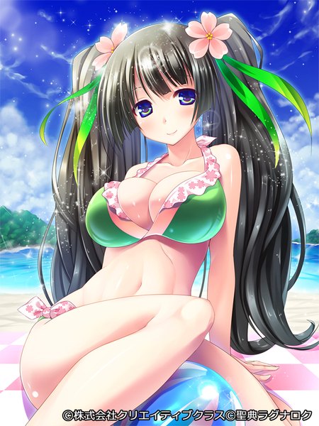 Anime picture 600x800 with seiten ragnarok pochadon single long hair tall image looking at viewer breasts blue eyes light erotic black hair twintails cleavage hair flower beach girl navel flower (flowers) ribbon (ribbons) swimsuit hair ribbon