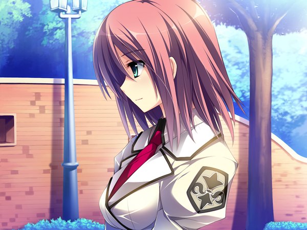 Anime picture 1024x768 with damatte watashi no muko ni nare! short hair brown hair green eyes game cg profile girl plant (plants) tree (trees) serafuku necktie lantern lamppost