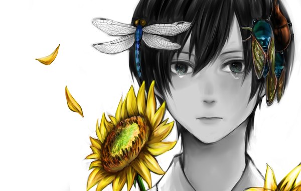 Anime picture 1105x700 with original ue san (artist) single short hair simple background white background tears portrait face pale skin polychromatic boy flower (flowers) petals insect sunflower bug dragonfly