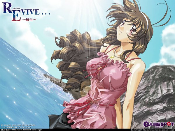 Anime picture 1024x768 with brown hair beach tagme