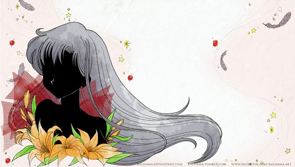 Anime picture 1000x567 with bishoujo senshi sailor moon toei animation hino rei sailor mars kalisama (artist) single long hair simple background wide image very long hair grey hair dark skin silhouette girl flower (flowers) star (symbol) feather (feathers) crystal lily (flower)