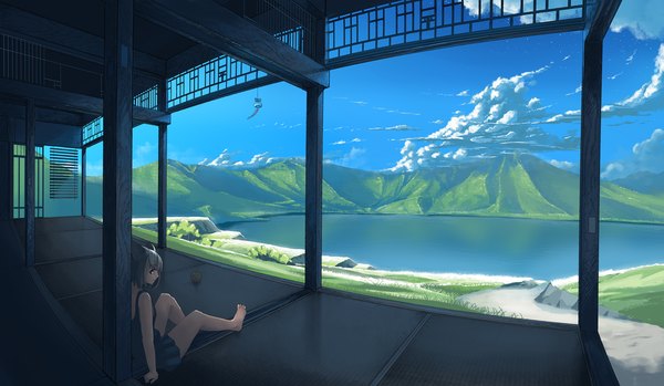 Anime picture 1920x1116 with original arukiru single looking at viewer highres short hair wide image sitting brown eyes animal ears sky cloud (clouds) profile barefoot grey hair cat ears sleeveless mountain landscape scenic