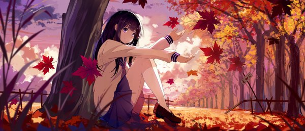 Anime picture 1366x590 with hyouka kyoto animation chitanda eru baisi shaonian single long hair looking at viewer black hair wide image sitting purple eyes light smile girl skirt uniform plant (plants) miniskirt tree (trees) socks serafuku