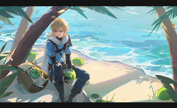 Anime picture 3840x2351 with the legend of zelda the legend of zelda: breath of the wild nintendo link mujizi single long hair highres blue eyes blonde hair wide image sitting looking away absurdres ahoge outdoors pointy ears shadow beach letterboxed