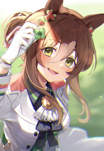 Anime picture 1327x1929 with umamusume fine motion (umamusume) chan hone pkpk single long hair tall image looking at viewer blush fringe hair between eyes brown hair green eyes animal ears from above horse ears girl gloves white gloves clover (plant)