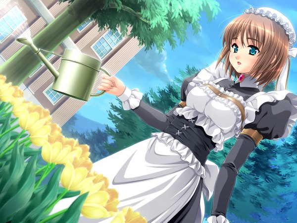 Anime picture 1024x768 with shoukoujo charlotte short hair blue eyes brown hair game cg maid girl flower (flowers)