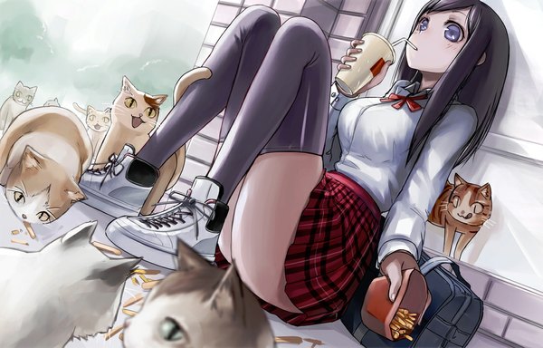 Anime picture 1100x705 with original tea (nakenashi) single long hair light erotic black hair sitting purple eyes drinking girl thighhighs skirt black thighhighs miniskirt animal cat red skirt sneakers disposable cup