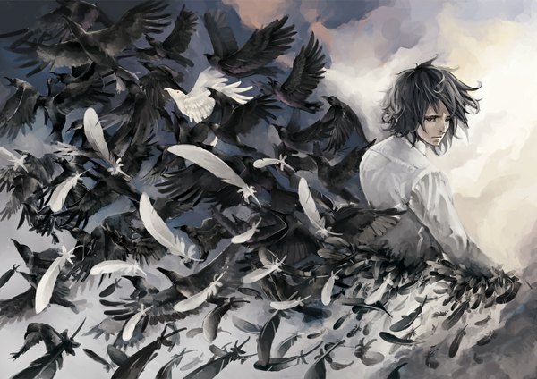 Anime picture 1193x844 with sho (pixiv) black hair sky cloud (clouds) looking back black eyes boy animal bird (birds) feather (feathers) crow