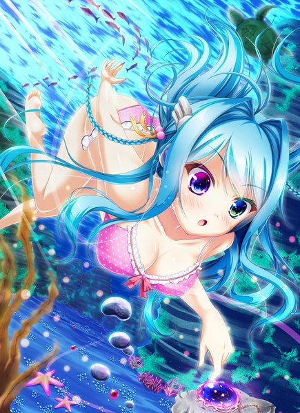 Anime picture 725x1000 with original hiro (725611) single long hair tall image blush open mouth light erotic blue hair heterochromia underwater multicolored eyes girl swimsuit bikini fish (fishes) coral turtle