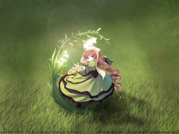 Anime picture 1600x1200 with rozen maiden suiseiseki flower (flowers) plant (plants) grass tagme