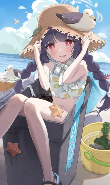 Anime picture 3035x5100 with blue archive miyu (blue archive) miyu (swimsuit) (blue archive) momomoi momoi single long hair tall image blush highres black hair red eyes absurdres sky cloud (clouds) braid (braids) tears twin braids official alternate costume adjusting hat animal on head