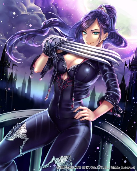 Anime picture 1800x2250 with lost crusade square enix iria (yumeirokingyo) single long hair tall image looking at viewer highres breasts light erotic large breasts sky cleavage purple hair ponytail aqua eyes wind open jacket official art hand on hip