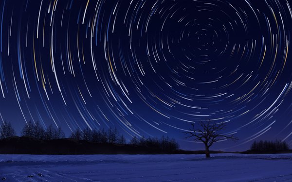 Anime picture 1680x1050 with original solafin night wallpaper night sky winter snow no people landscape scenic bare tree plant (plants) tree (trees) star (stars)