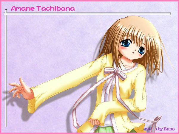 Anime picture 1024x768 with canvas (anime) tachibana amane single blush short hair open mouth blue eyes brown hair signed shadow character names border girl skirt green skirt