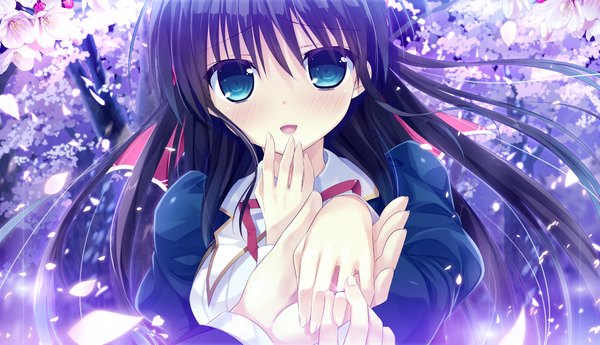 Anime picture 1320x760 with primal x hearts kuragano sera long hair looking at viewer blush open mouth blue eyes black hair wide image game cg cherry blossoms girl uniform plant (plants) school uniform petals tree (trees) ring