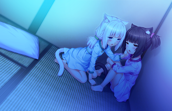 イラスト 2370x1530 と neko paradise neko works (studio) バニラ ショコラ(ネコぱら) さより 長髪 赤面 前髪 highres 短い髪 開いた口 黒髪 座る ツインテール multiple girls 獣耳 game cg bent knee (knees) white hair 尻尾