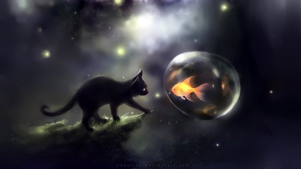 Anime picture 1920x1080 with original apofiss highres wide image animal cat bubble (bubbles) fish (fishes)