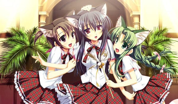 Anime picture 1536x900 with long hair short hair black hair red eyes brown hair wide image twintails brown eyes green eyes animal ears green hair cat ears cat girl girl serafuku