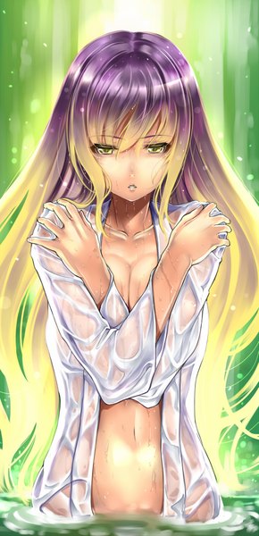 Anime picture 987x2040 with touhou hijiri byakuren saburou (hgmg) long hair tall image breasts light erotic yellow eyes multicolored hair wet girl navel water robe