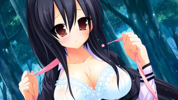 Anime picture 1280x720 with tiny dungeon (game) rosebleu vell sein single long hair light erotic black hair wide image brown eyes game cg girl