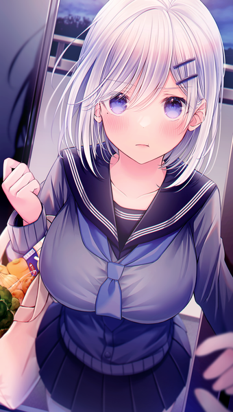 Anime picture 2737x4837 with original kuro namako tall image looking at viewer blush fringe highres short hair breasts open mouth large breasts standing purple eyes silver hair long sleeves pleated skirt mole mole under eye solo focus pov