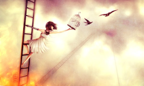 Anime picture 1932x1154 with mezamero single highres short hair brown hair wide image sky barefoot girl dress animal white dress bird (birds) stairs cage gas mask