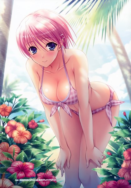 Anime picture 4903x7002 with walkure romanze kisaki mio komori kei single tall image looking at viewer blush highres short hair breasts blue eyes light erotic pink hair absurdres cleavage light smile scan girl flower (flowers) swimsuit